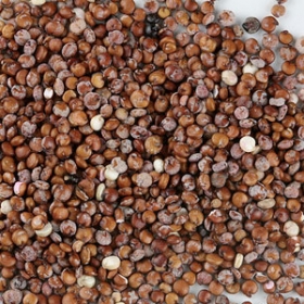 image de la recette Cuisson du quinoa